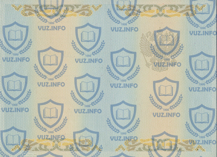 Оборотная сторона титульной части диплома 2002-2008 годов